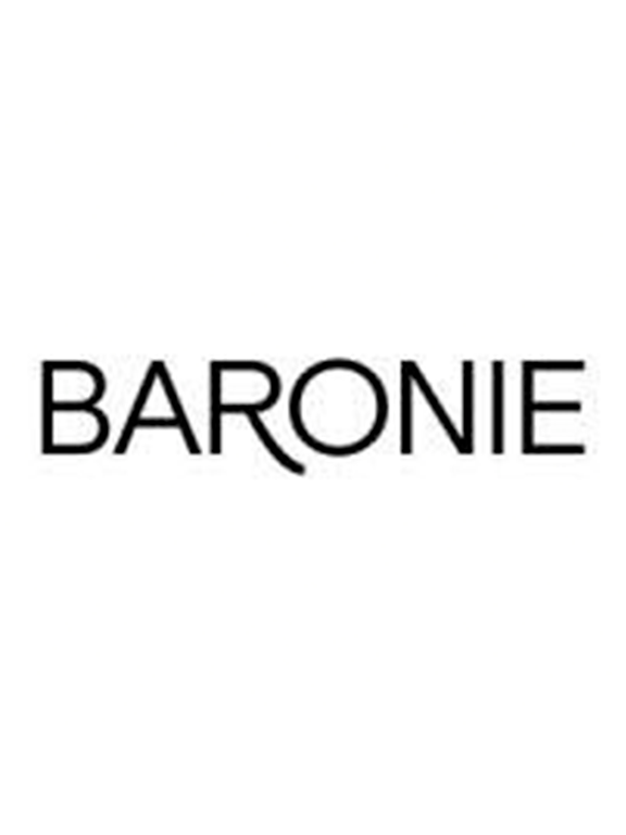 2. Baronie